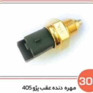 306 مهره دنده عقب پژو 405 ( سوکت عباسی )