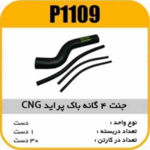 جنت چهارگانه باک پراید CNG پاسیکو P1109 ک30