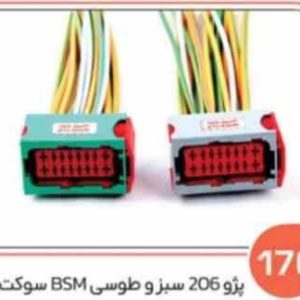 170 سوکت BSM پژو 206 سبز و طوسی ( سوکت عباسی )