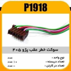 سوکت خطر عقب پژو405 پاسیکو P1918 ب10ک100