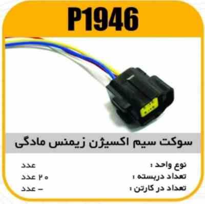 سوکت سیم اکسیژن زیمنس مادگی پاسیکو P1946 ب10