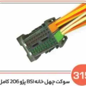 315 سوکت چهل خانه بی اس ای پژو 206 نری کامل ( سوکت عباسی )