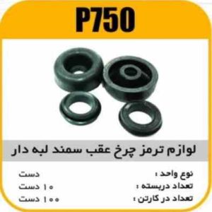 لوازم چرخ عقب سمندلبه دار پاسیکو P750 ب10 ک100 ( 4530)