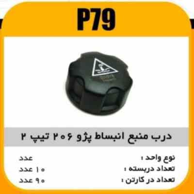 درب منبع انبساط 206 تیپ2 پاسیکو P79 ب10 ک90