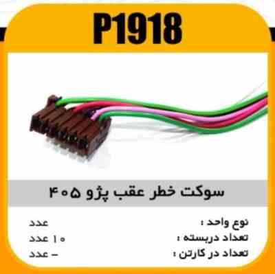 سوکت خطر عقب پژو405 پاسیکو P1918 ب10ک100