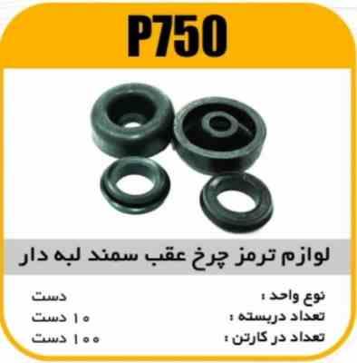 لوازم چرخ عقب سمندلبه دار پاسیکو P750 ب10 ک100 ( 4530)