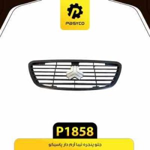 جلو پنجره ارم دار تیبا پاسیکو P1858 ک10 (7130)
