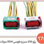 170- سوکت BSM پژو 206 سبز و طوسی ( سوکت عباسی )