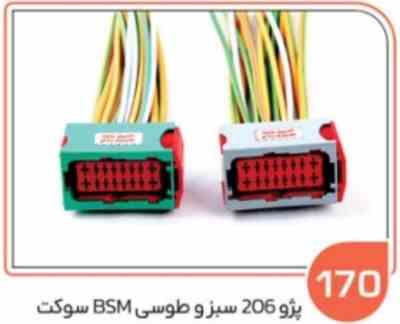 170.jpg 170- سوکت BSM پژو 206 سبز و طوسی ( سوکت عباسی )