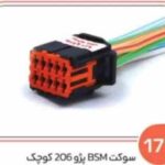 171- سوکت BSM پژو 206 کوچک ( سوکت عباسی )