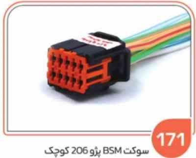 171.jpg 171- سوکت BSM پژو 206 کوچک ( سوکت عباسی )