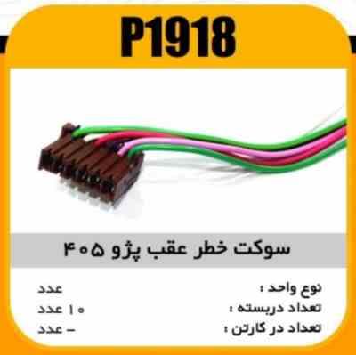 1918.jpg سوکت خطر عقب پژو405 پاسیکو P1918 ب10ک100