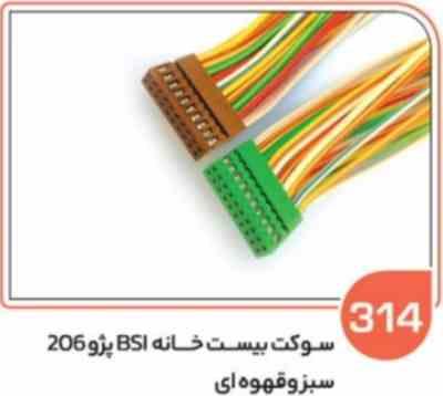 314- سوکت بیست خانه بی اس ای پژو 206 نری ( سبز ) ( سوکت عباسی )