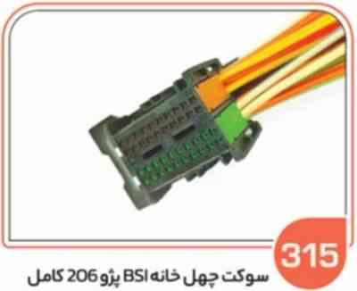 315- سوکت چهل خانه بی اس ای پژو 206 نری کامل ( سوکت عباسی )
