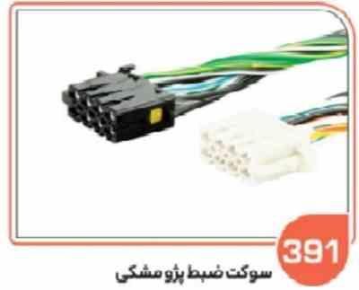 391- سوکت ضبط پژو مشکی (سوکت عباسی )
