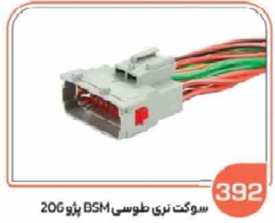 392.jpg 392 - سوکت نری طوسی پژو 206 BSM ( سوکت عباسی )
