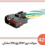 425 - سوکت BSM پژو 206 مشکی (سوکت عباسی )