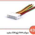436- سوکت FAM پژو 206 سفید ( سوکت عباسی )
