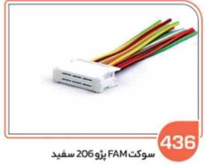 436.jpg 436- سوکت FAM پژو 206 سفید ( سوکت عباسی )