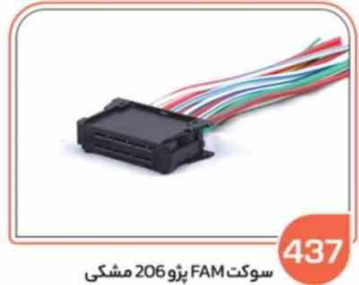 437- سوکت FAM پژو 206 مشکی ( سوکت عباسی )