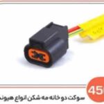 456- سوکت دو خانه مه شکن انواع خودرو های هیوندا (سوکت عباسی)