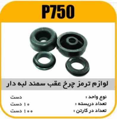 750.jpg لوازم چرخ عقب سمندلبه دار پاسیکو P750 ب10 ک100 ( 4530)